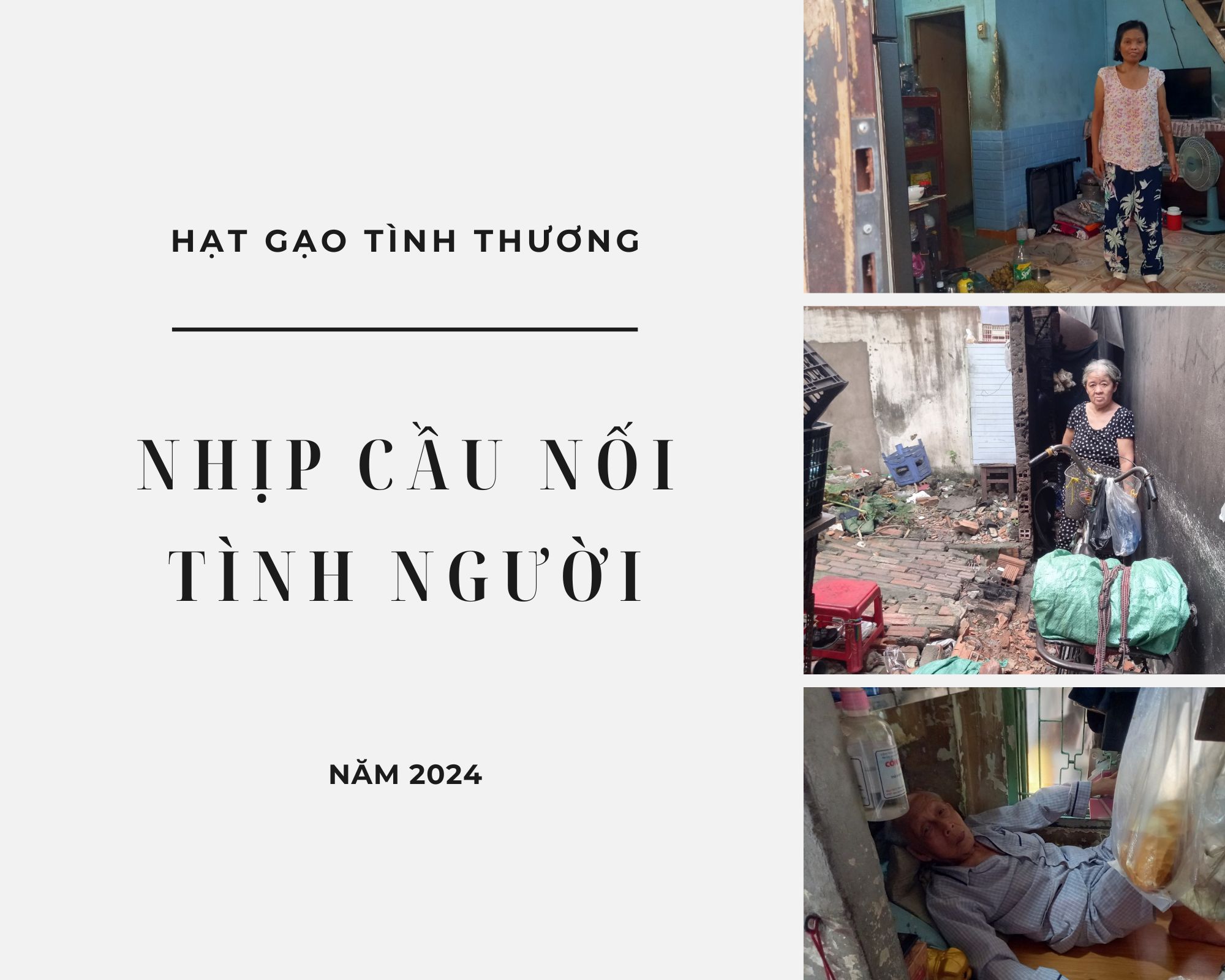 HẠT GẠO TÌNH THƯƠNG – NHỊP CẦU NỐI TÌNH NGƯỜI