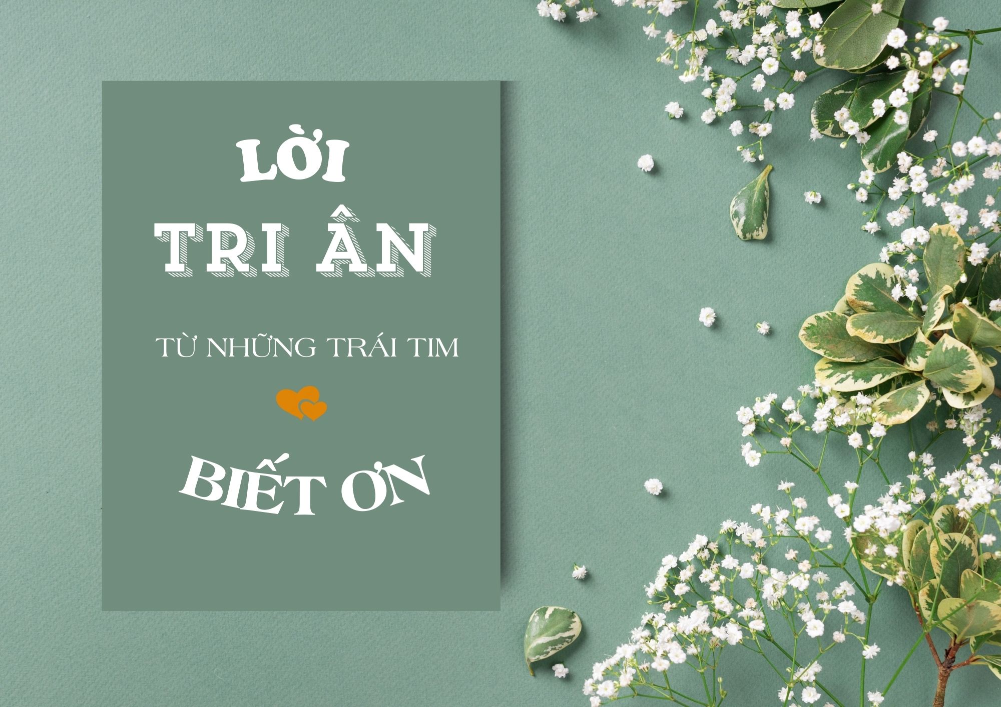 LỜI TRI ÂN TỪ NHỮNG TRÁI TIM BIẾT ƠN
