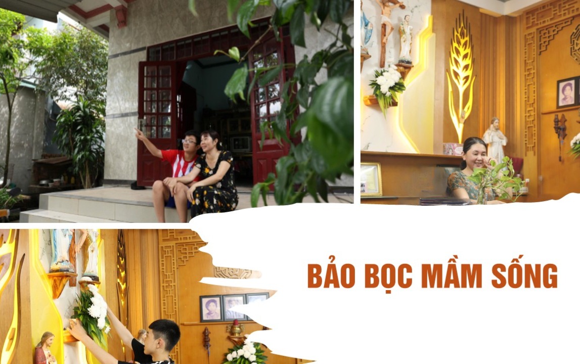 BẢO BỌC MẦM SỐNG TRƯỚC NHỮNG CHỈ SỐ NGUY CƠ